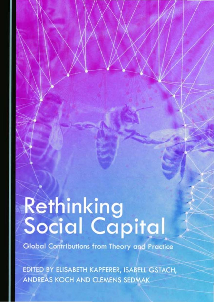 Rethinking Social Capital: Global Contributions from Theory and Practice