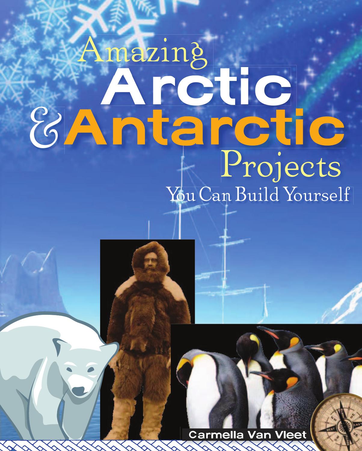 Amazing Arctic & Antarctic Projects You Can Build Yourself (Build It Yourself series)