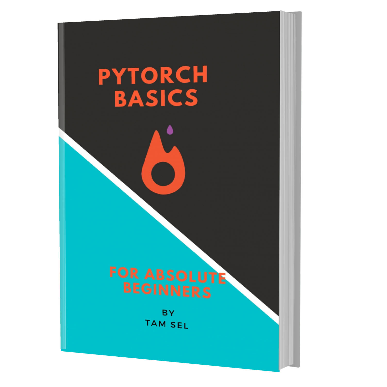 PYTORCH BASICS: FOR ABSOLUTE BEGINNERS