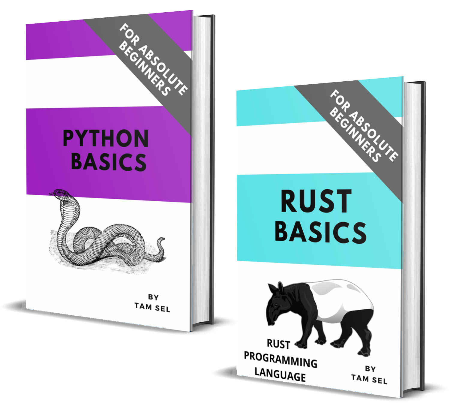 RUST AND PYTHON CODING BASICS: FOR ABSOLUTE BEGINNERS