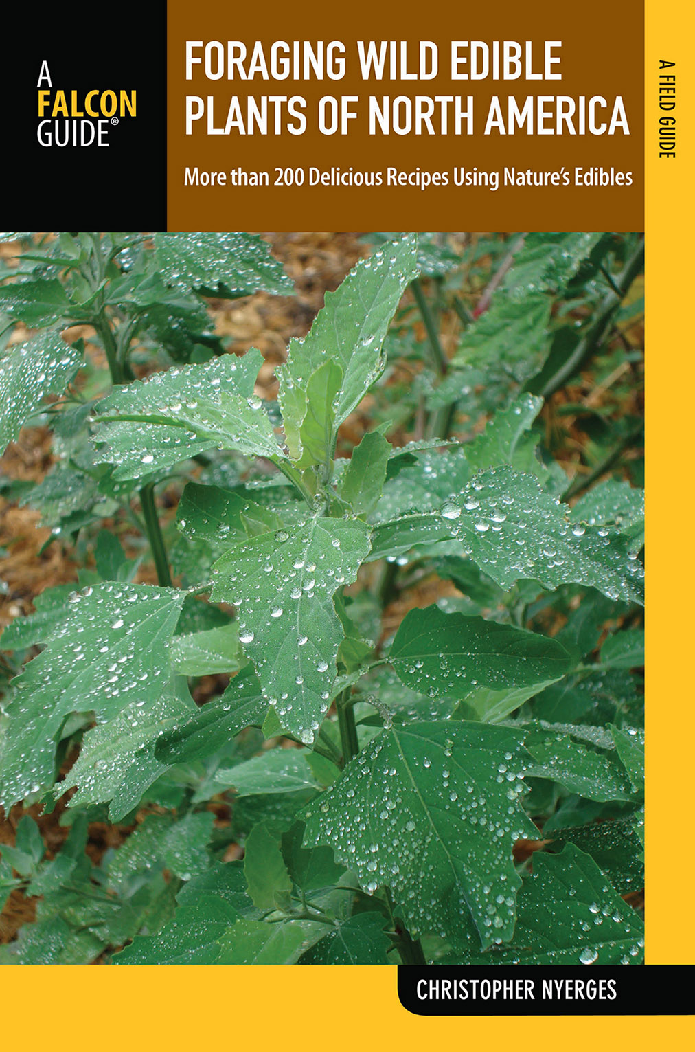 Foraging Wild Edible Plants of North America