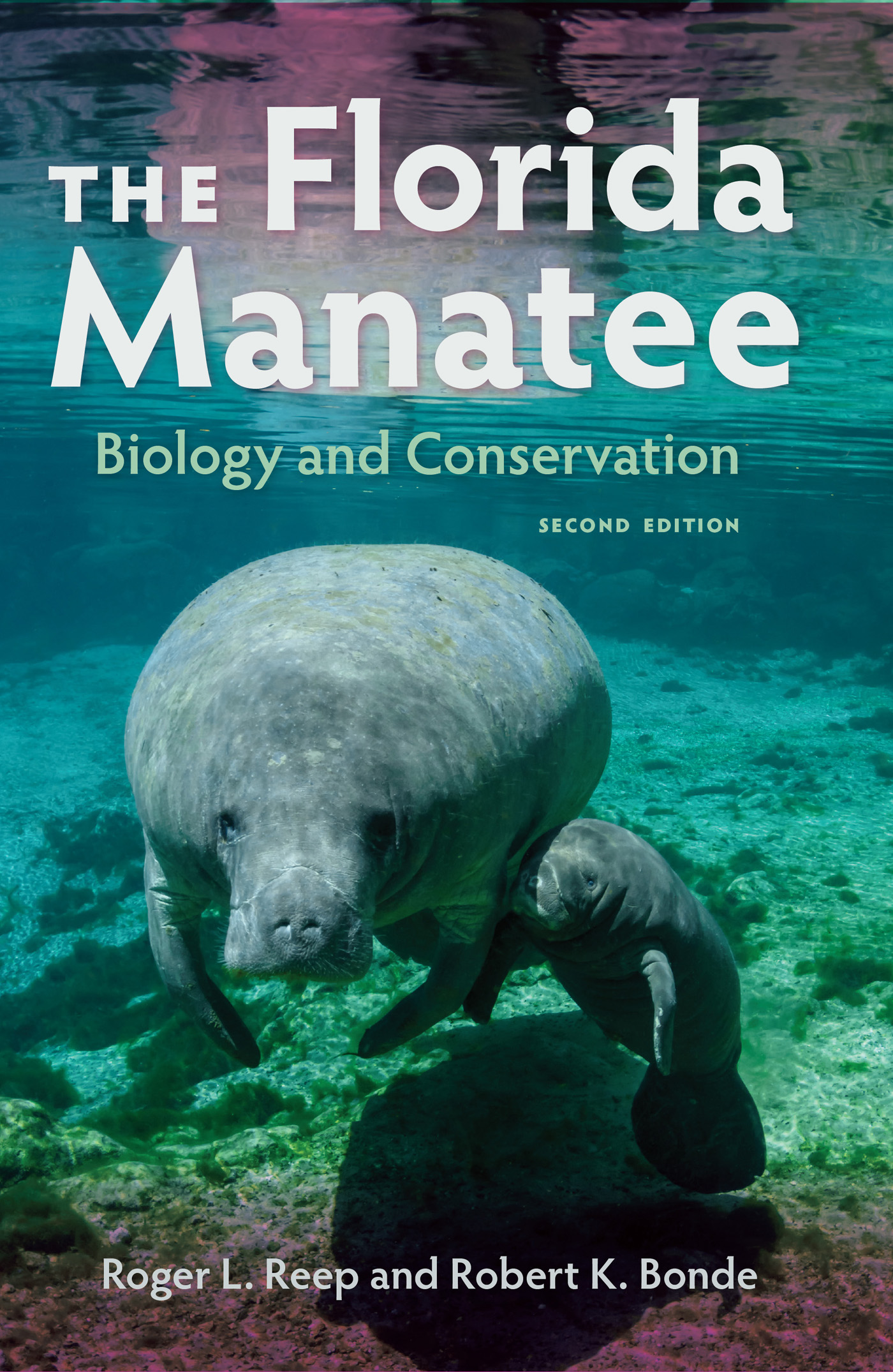 The Florida Manatee: Biology and Conservation