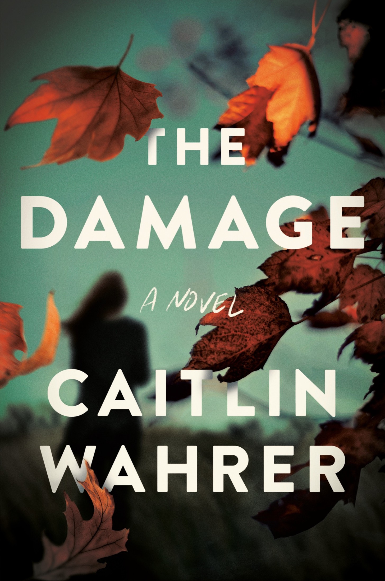 The Damage: A Novel