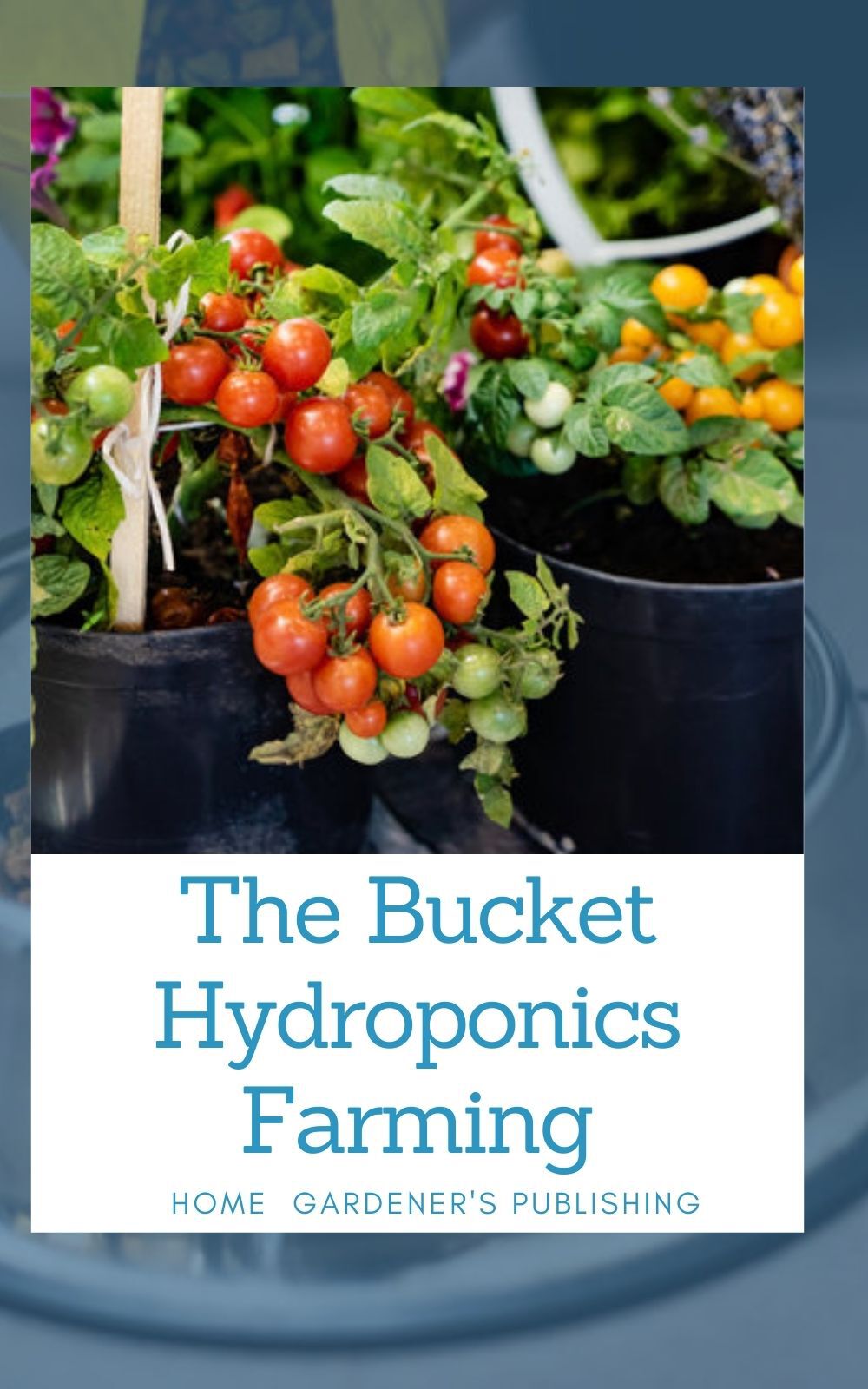 The Bucket Hydroponics Farming : Easy Step by Step Guide On Starting Your Own Bucket Hydroponics Farming