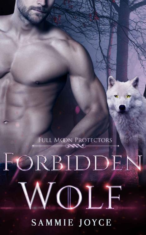 Forbidden Wolf (Full Moon Protectors Book 3)