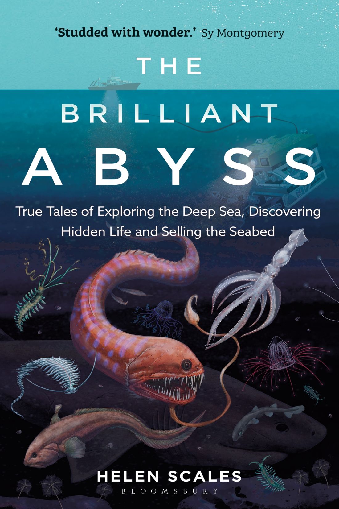 The Brilliant Abyss