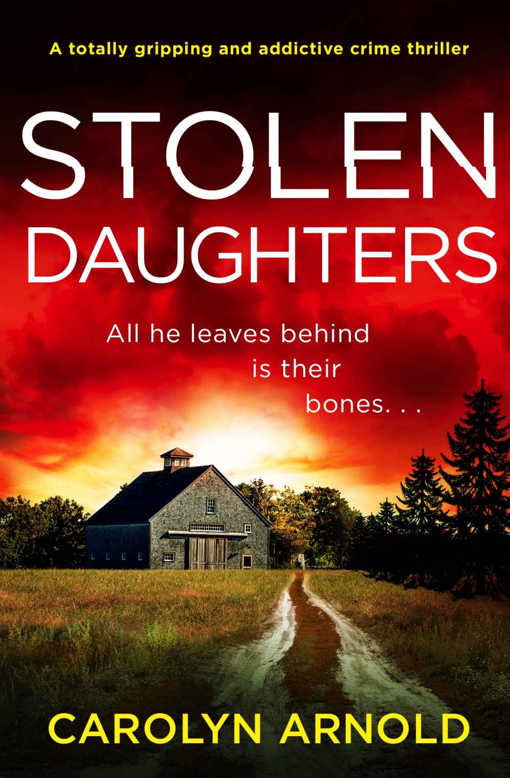 Stolen Daughters: A totally gripping and addictive crime thriller