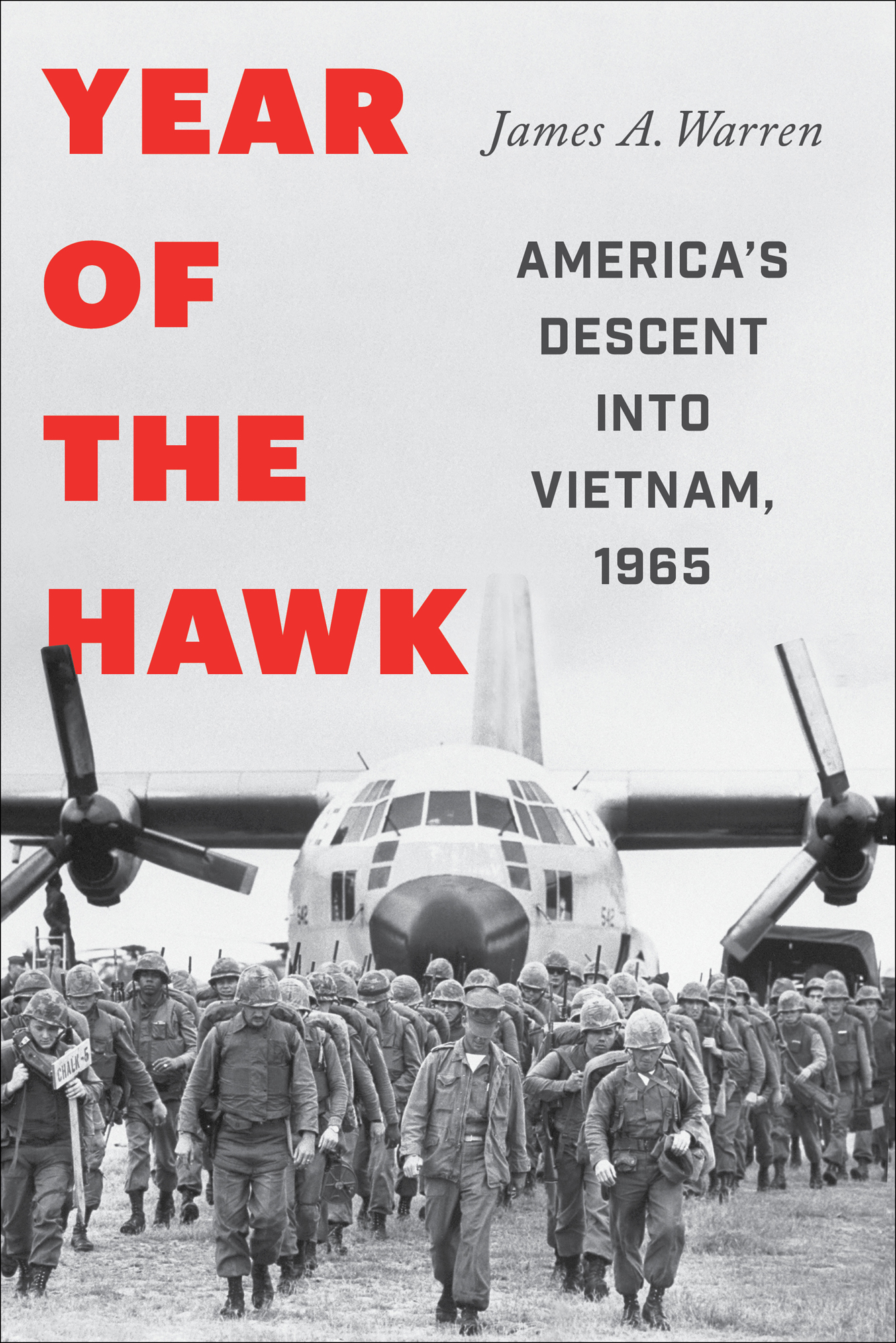 Year of the Hawk: America's Descent into Vietnam, 1965