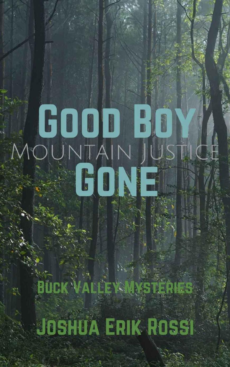 Good Boy Gone: Mountain Justice (Buck Valley Mysteries Book 1)