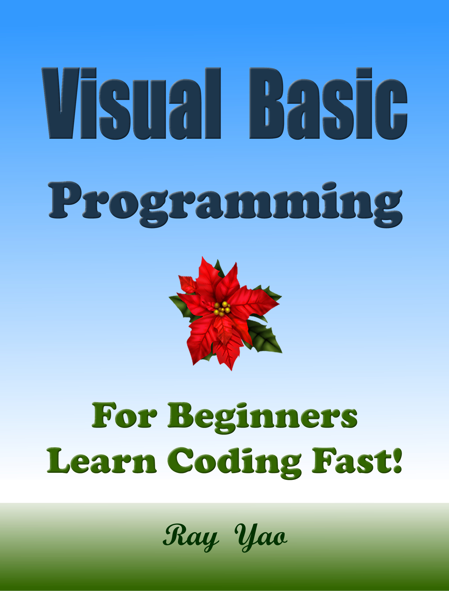 VISUAL BASIC Programming, For Beginners Learn Coding Fast!