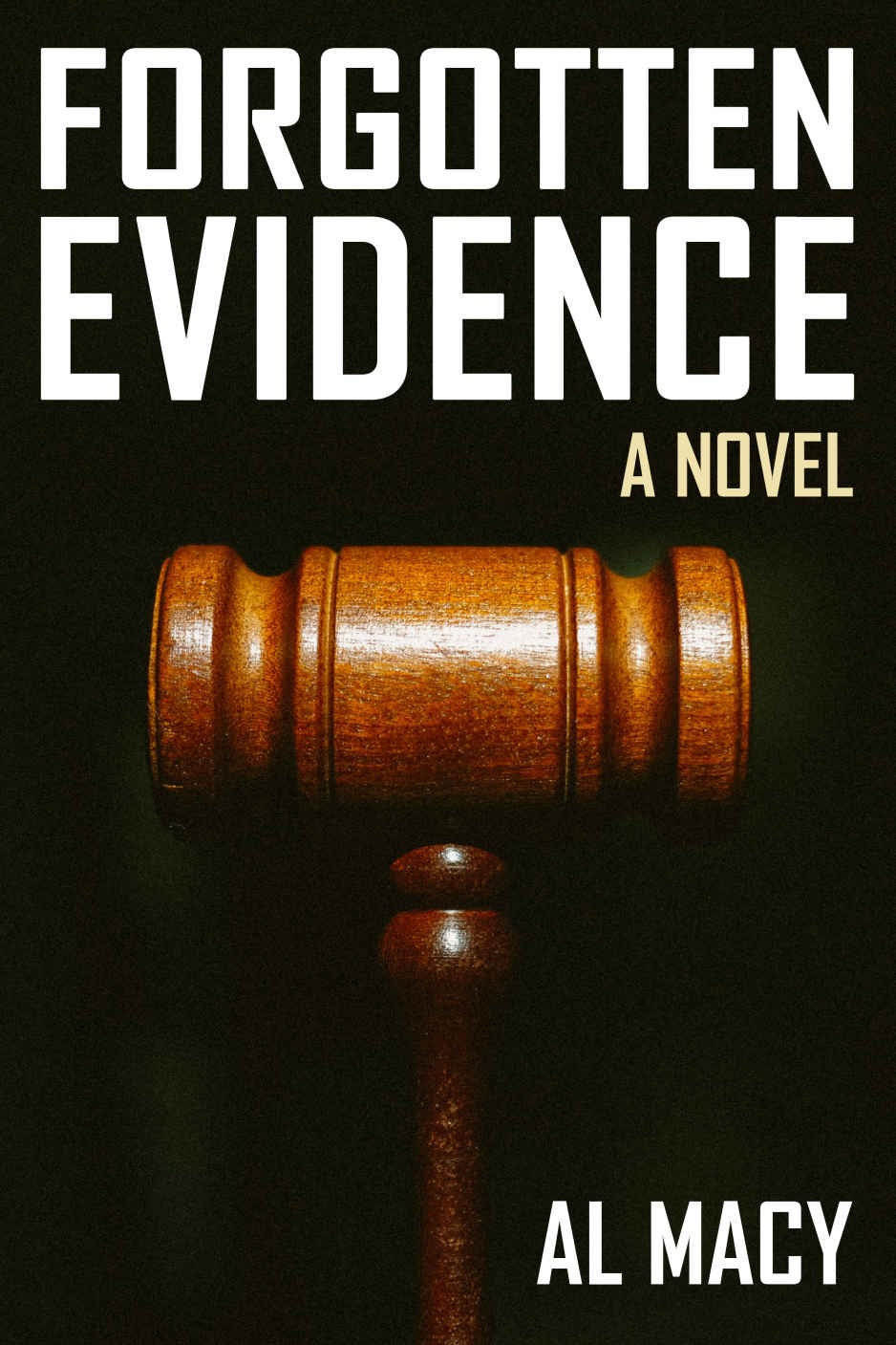 Forgotten Evidence: A Novel