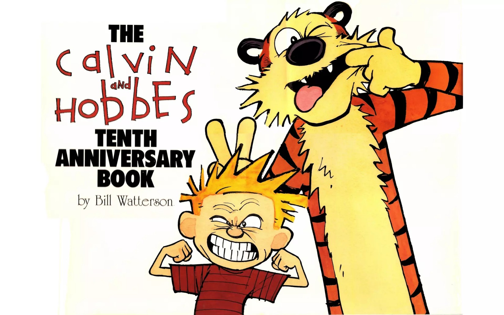 Calvin and Hobbes Complete Collection X