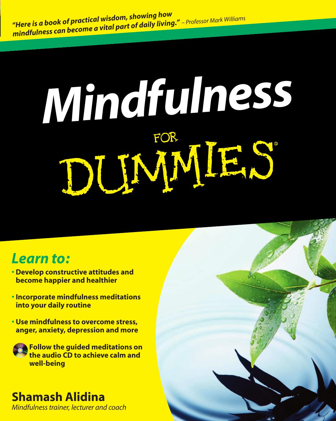 Mindfulness for Dummies