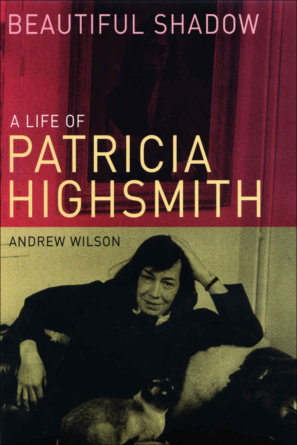 Beautiful Shadow: A Life of Patricia Highsmith