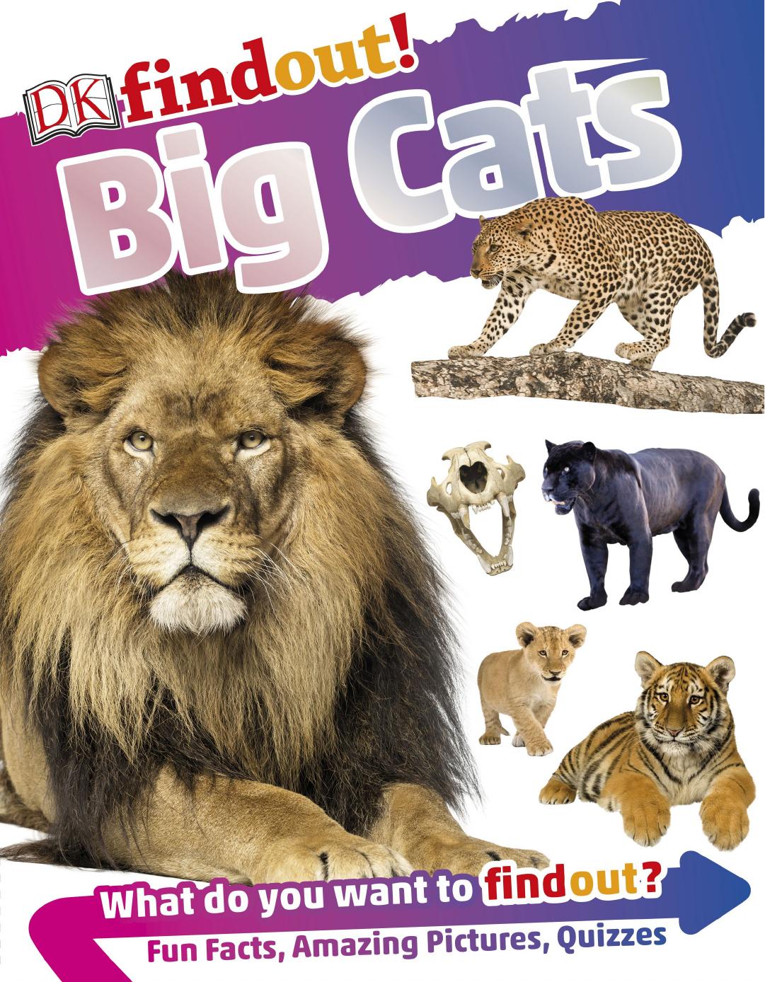 DK Findout! Big Cats