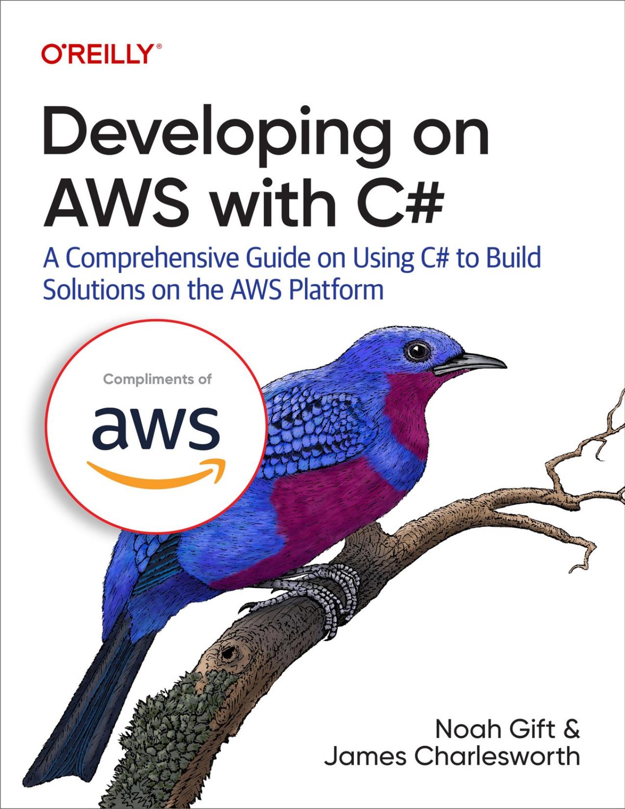 Developing on AWS with C#