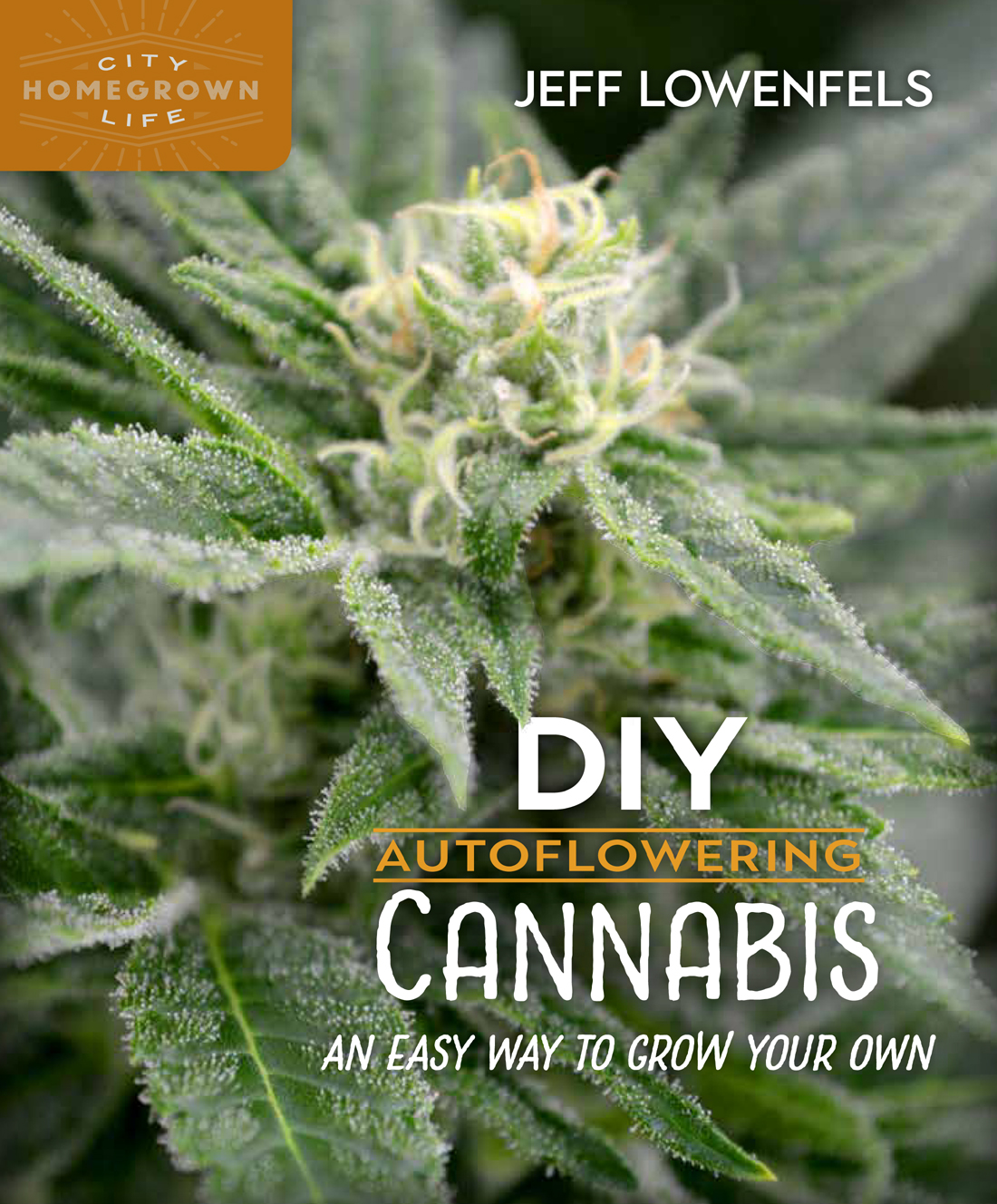 DIY Autoflowering Cannabis