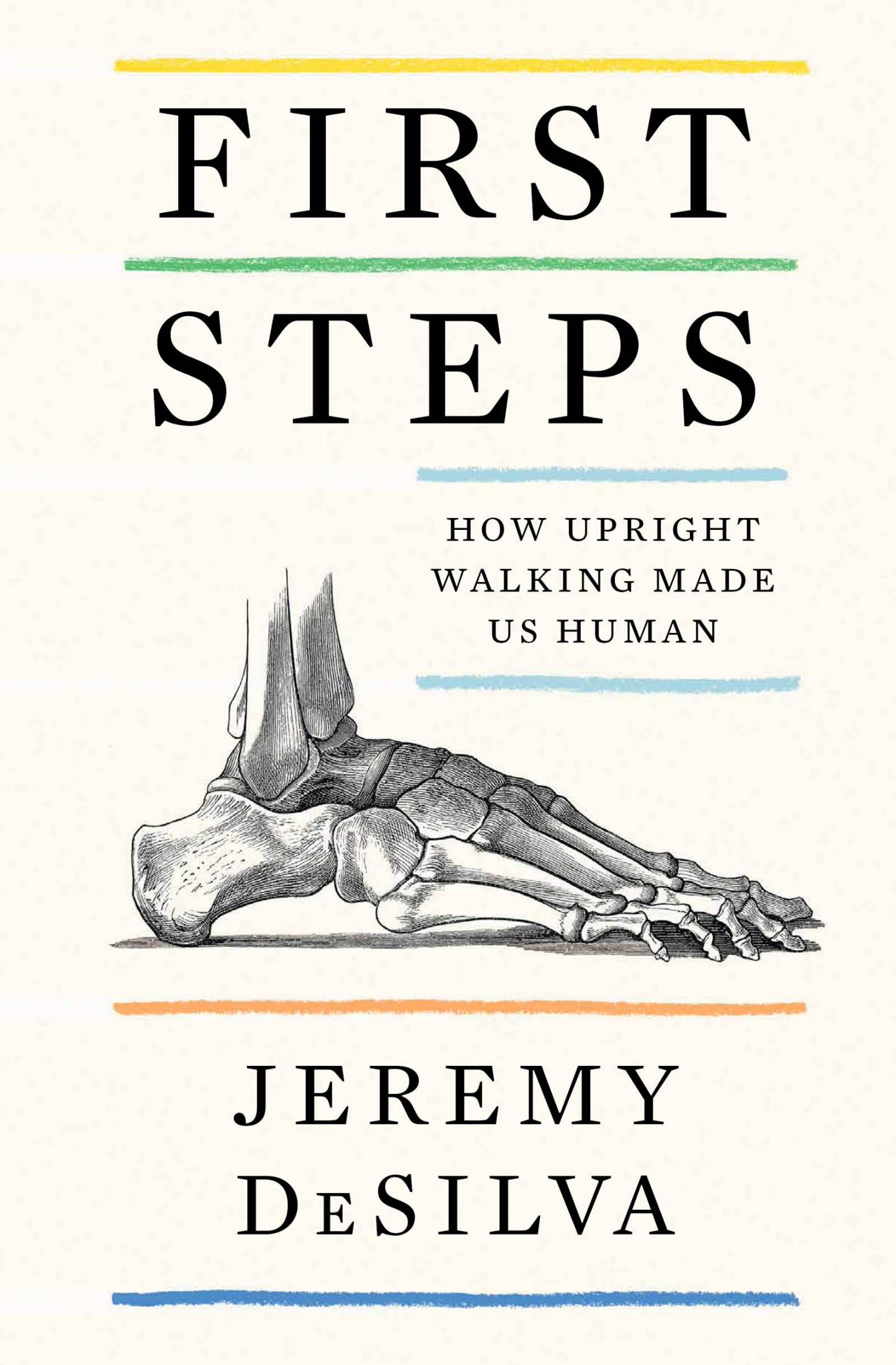 First Steps: How Upright Walking Made Us Human