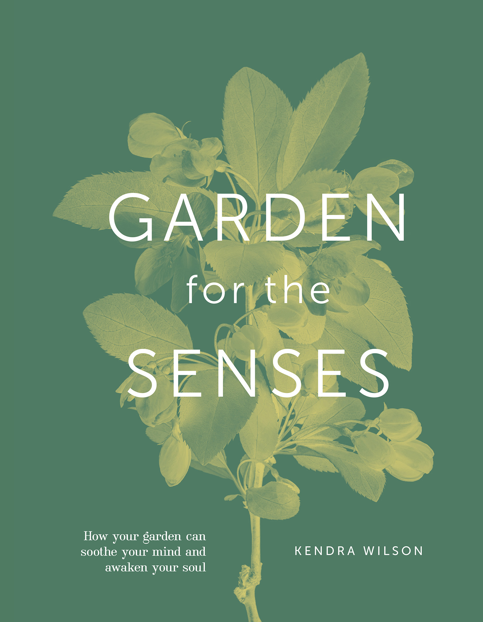 Garden for the Senses