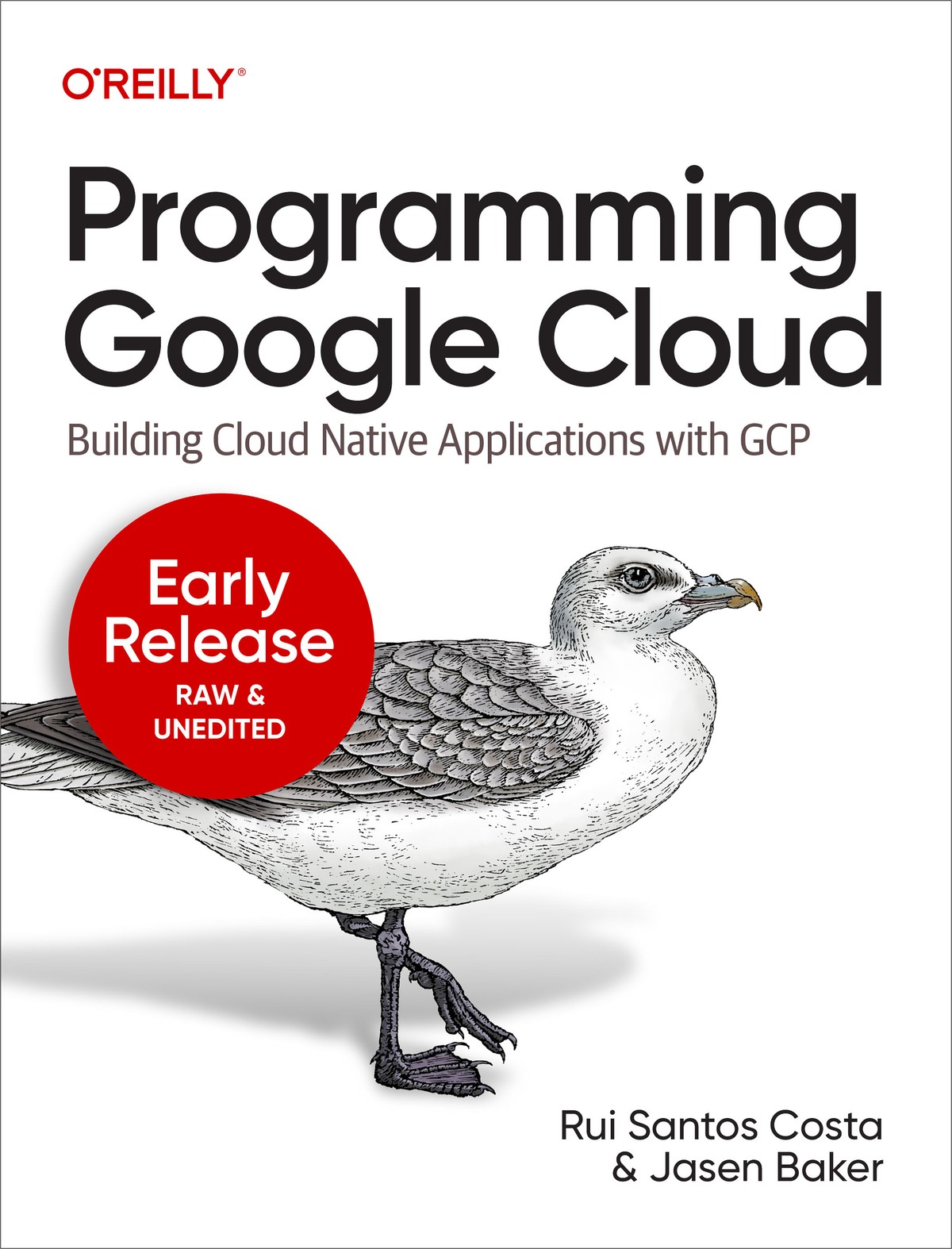 Programming Google Cloud