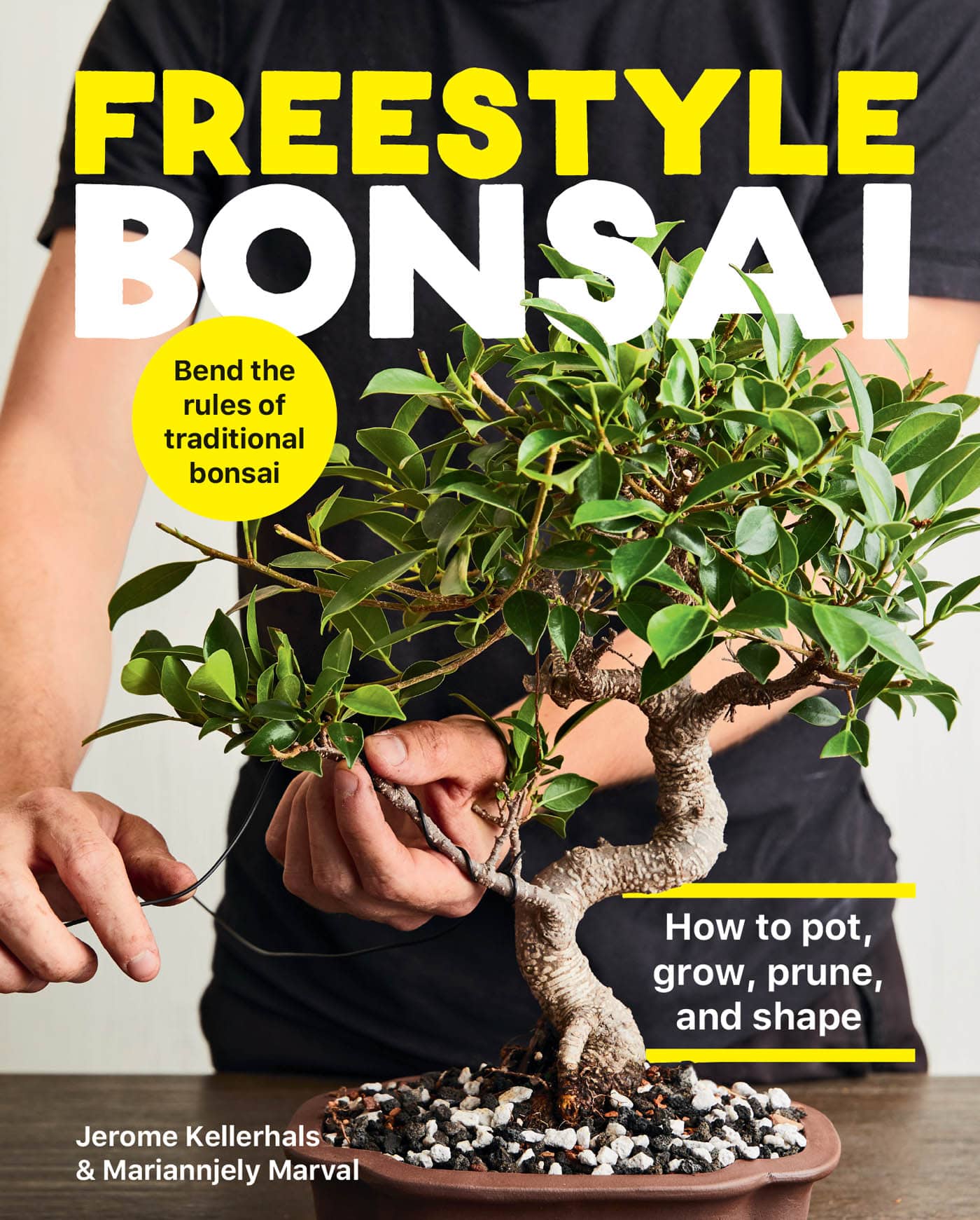 Freestyle Bonsai