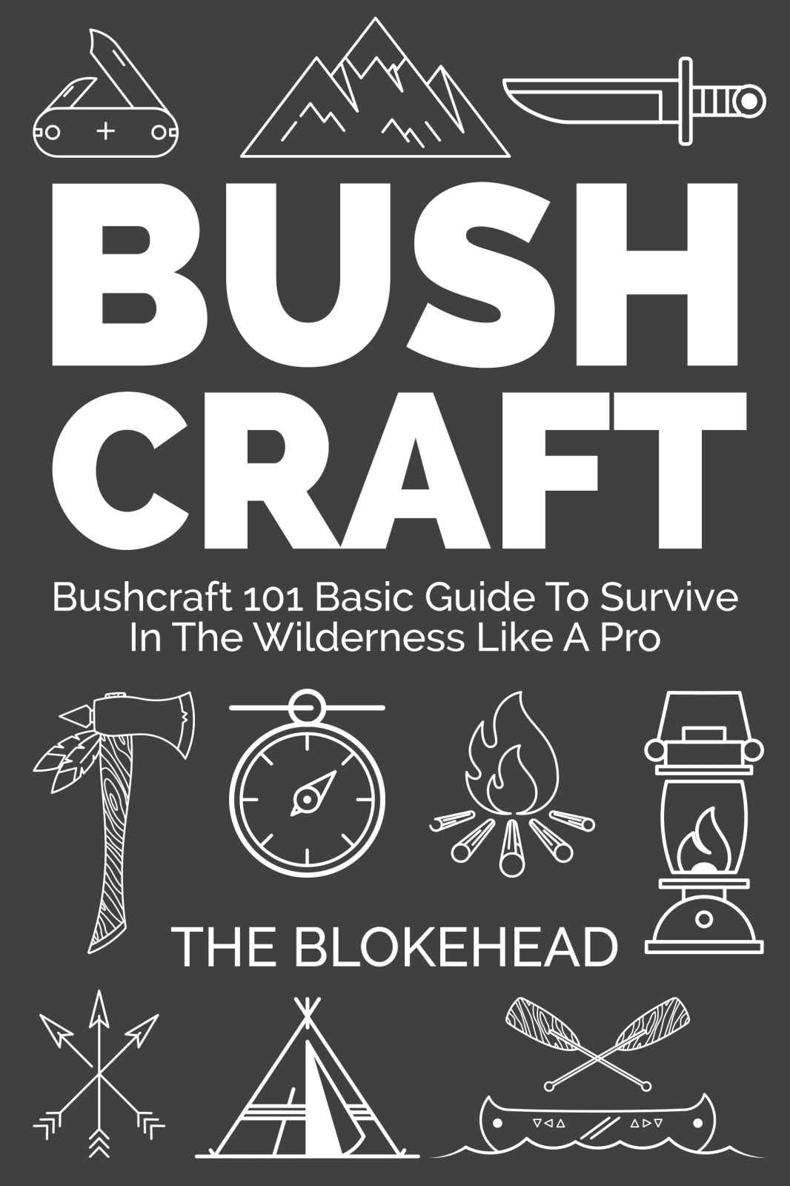 Bushcraft : Bushcraft 101 Basic Guide To Survive In The Wilderness Like A Pro (The Blokehead Success Series)