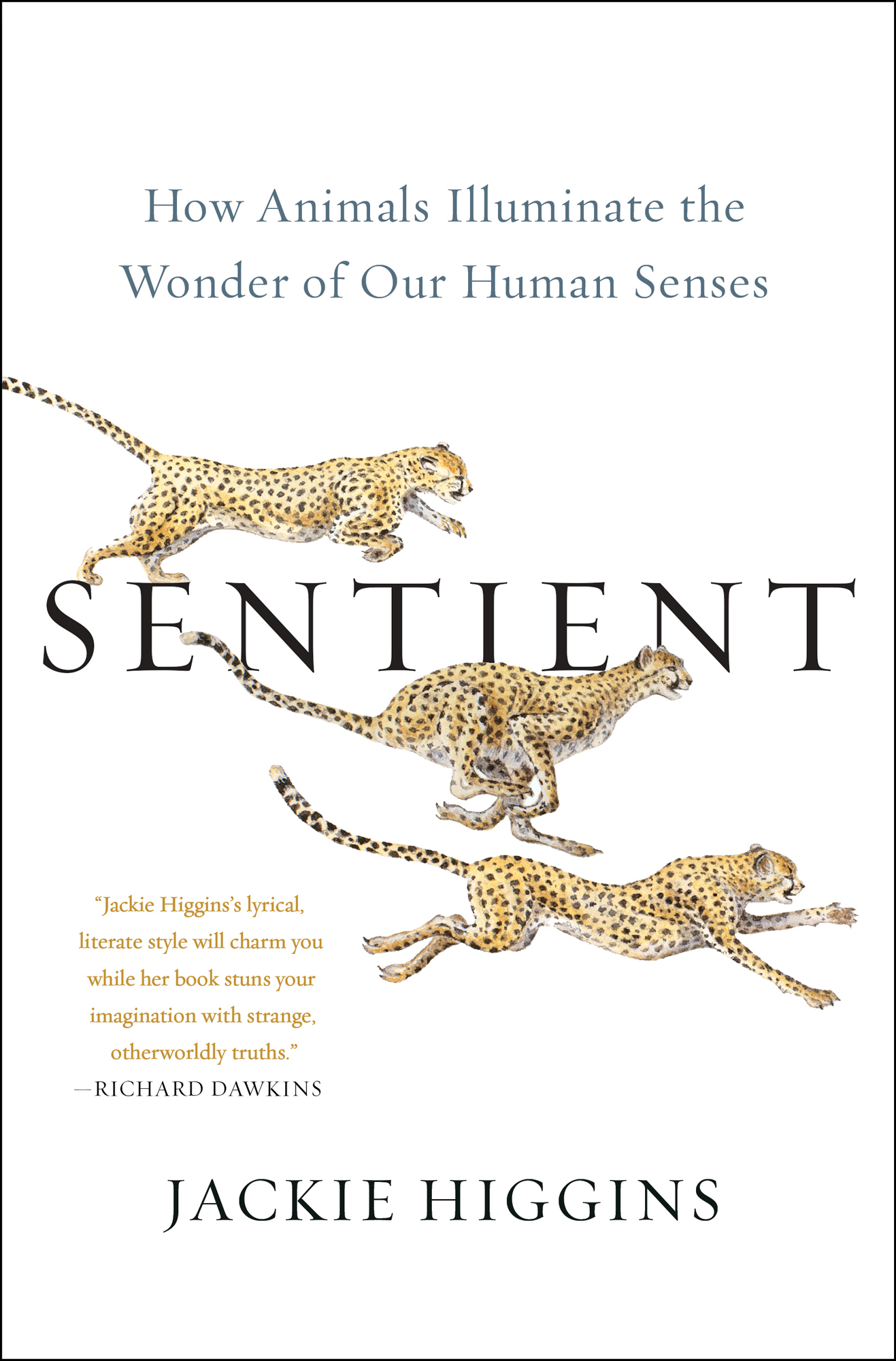 Sentient: How Animals Illuminate the Wonder of Our Human Senses