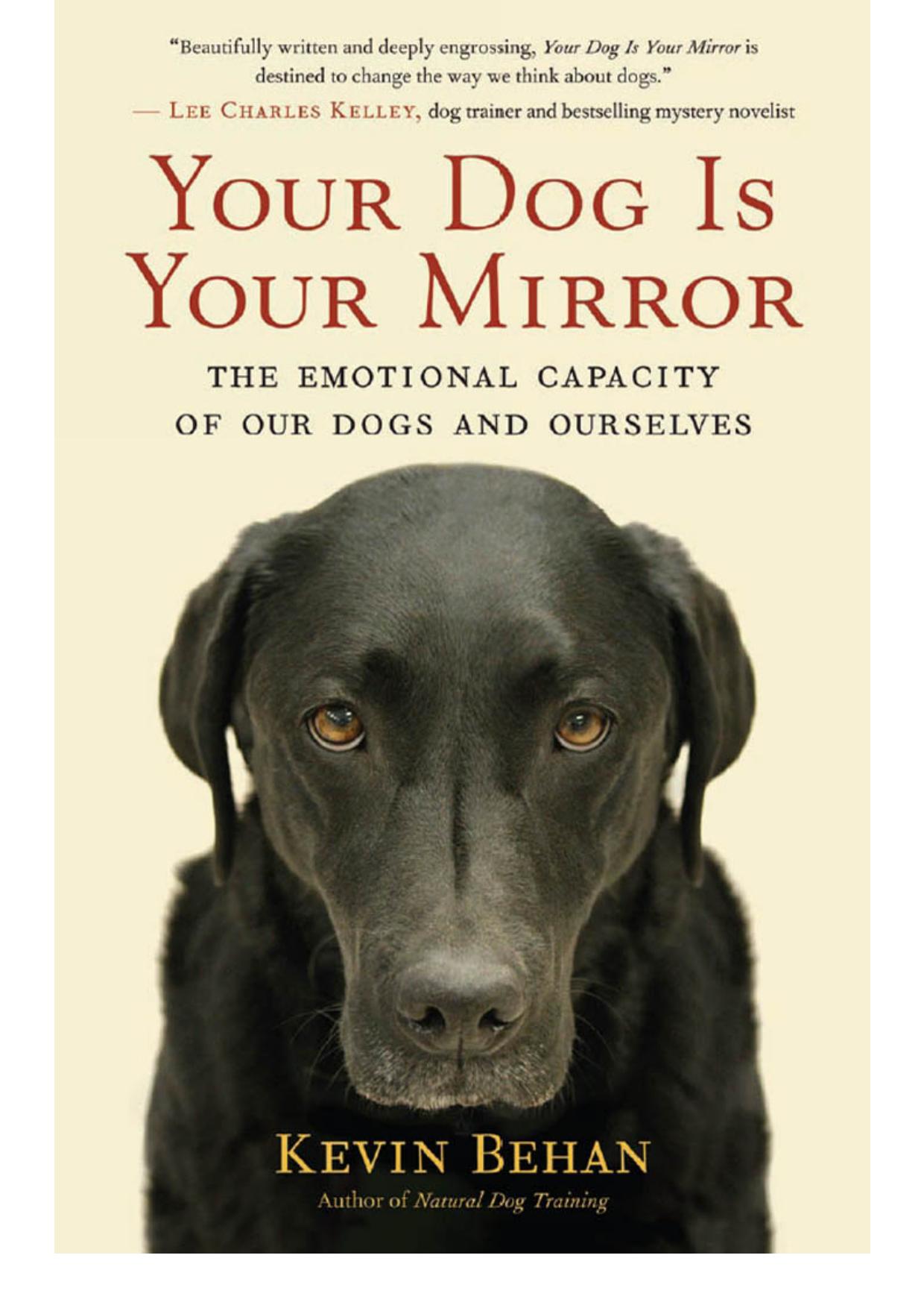 Your Dog Is Your Mirror