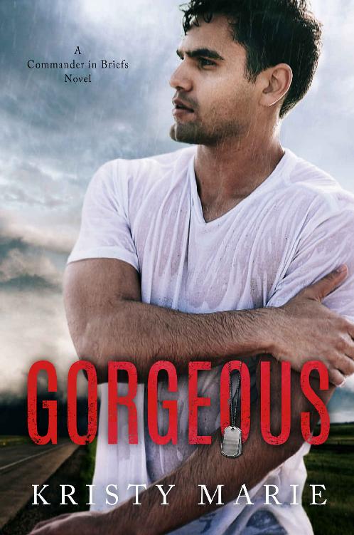 Gorgeous: A Commander in Briefs Novel