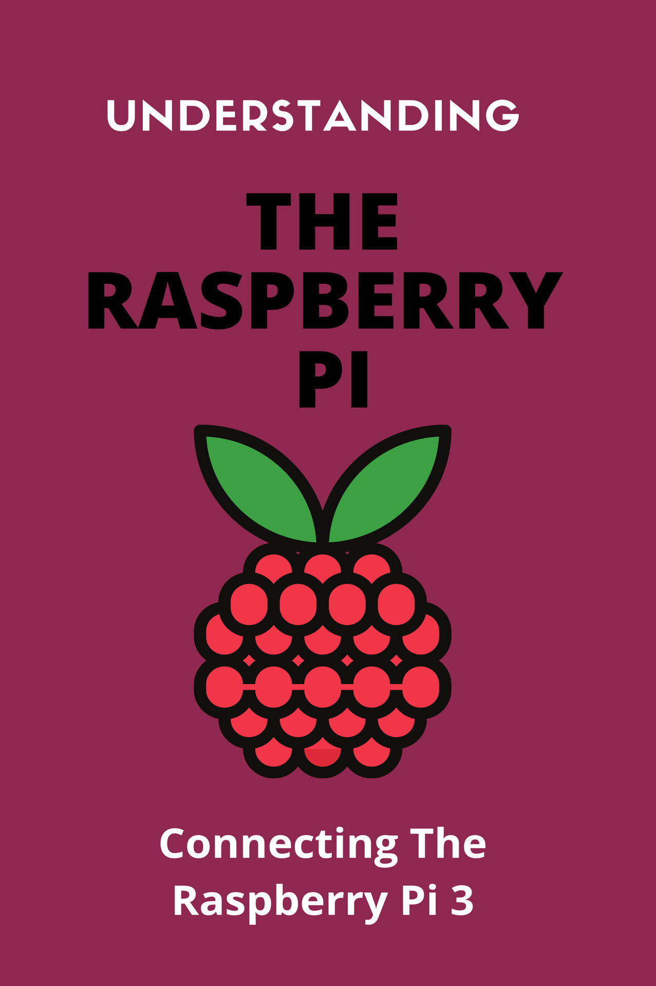 Understanding The Raspberry Pi: Connecting The Raspberry Pi 3: Raspberry Pi Appliances