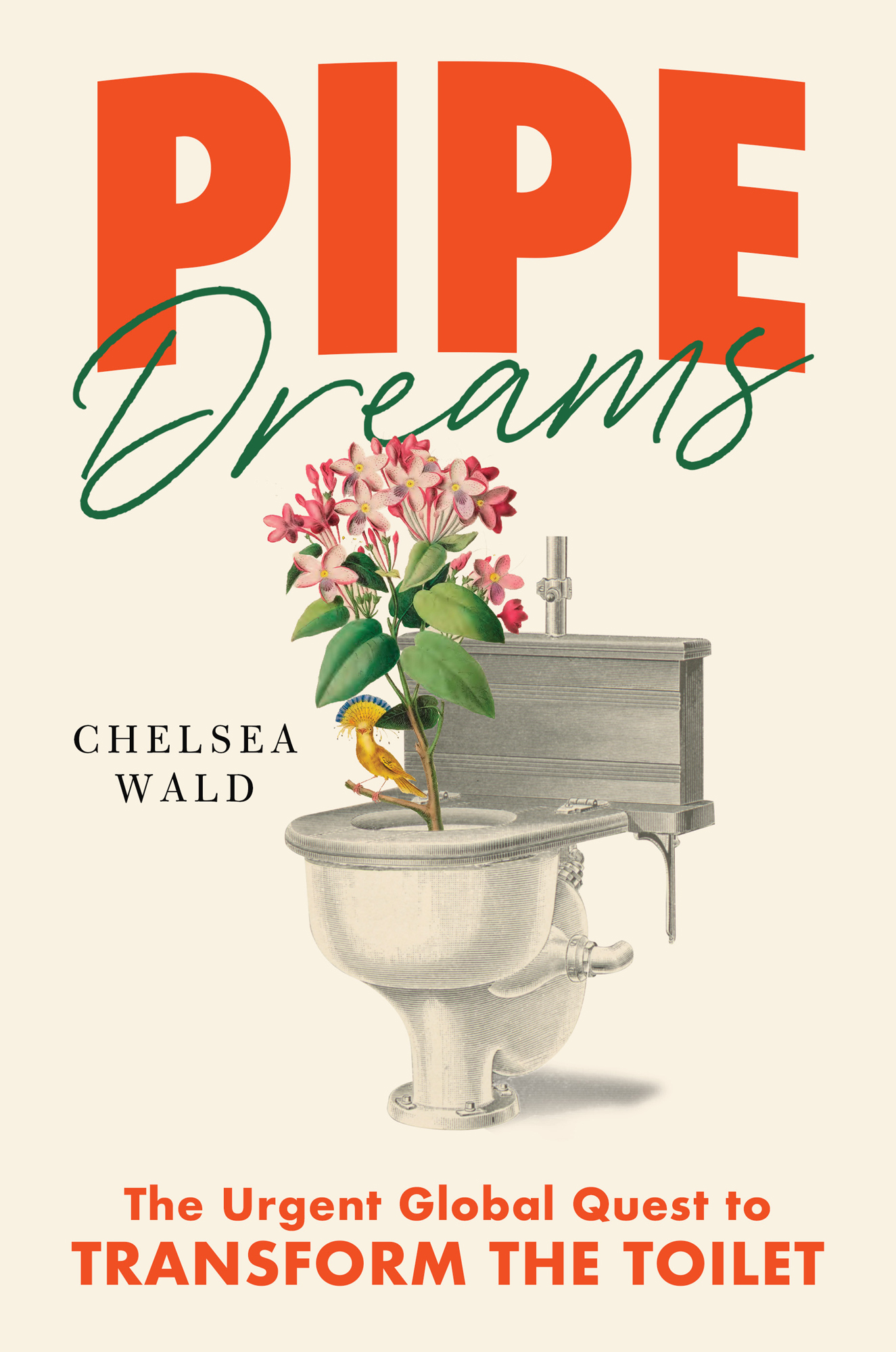 Pipe Dreams: The Urgent Global Quest to Transform the Toilet