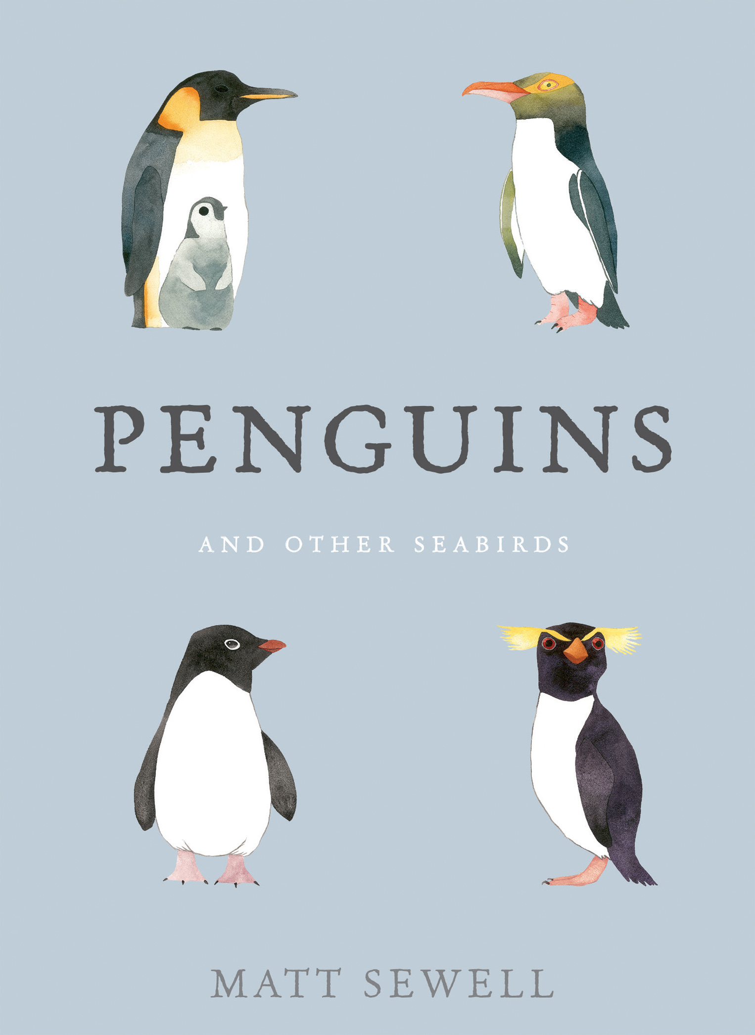 Penguins and Other Seabirds