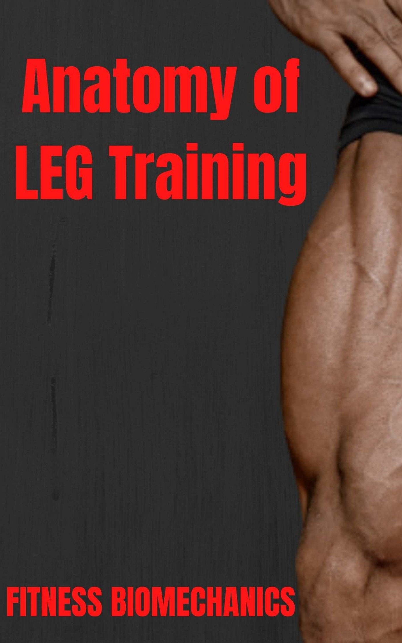 Anatomy of LEG Training