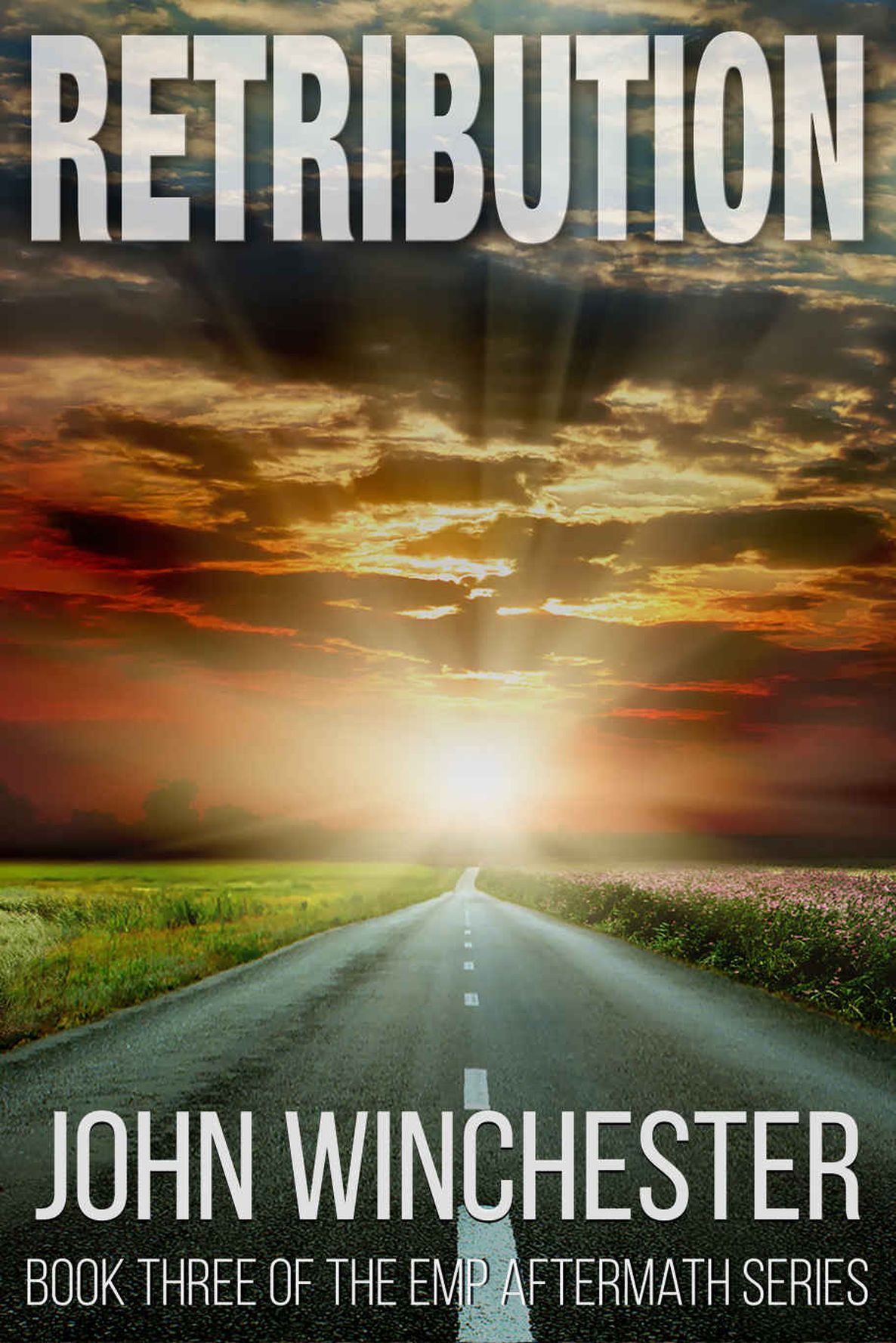 Retribution: An EMP Survival Story (EMP Aftermath Series Book 3)