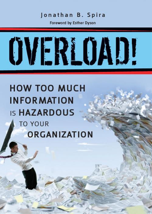 Overload!: How Too Much Information is Hazardous to Your Organization