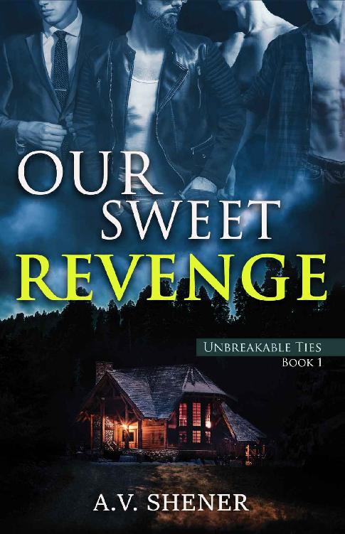 Our Sweet Revenge: A Dark Gay Thriller (Unbreakable Ties Book 1)