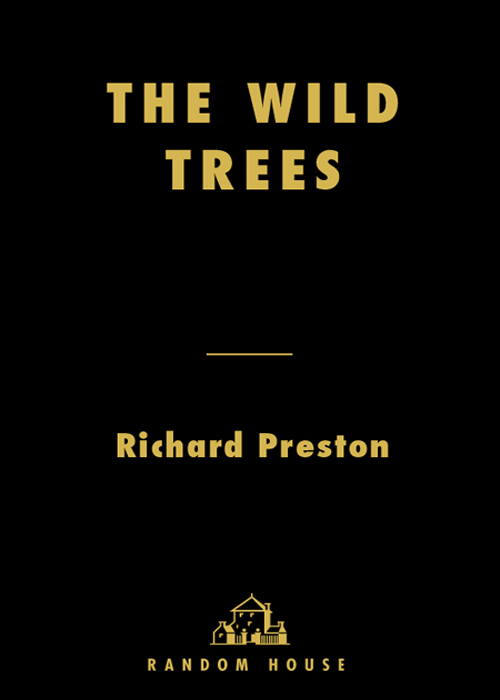 The Wild Trees