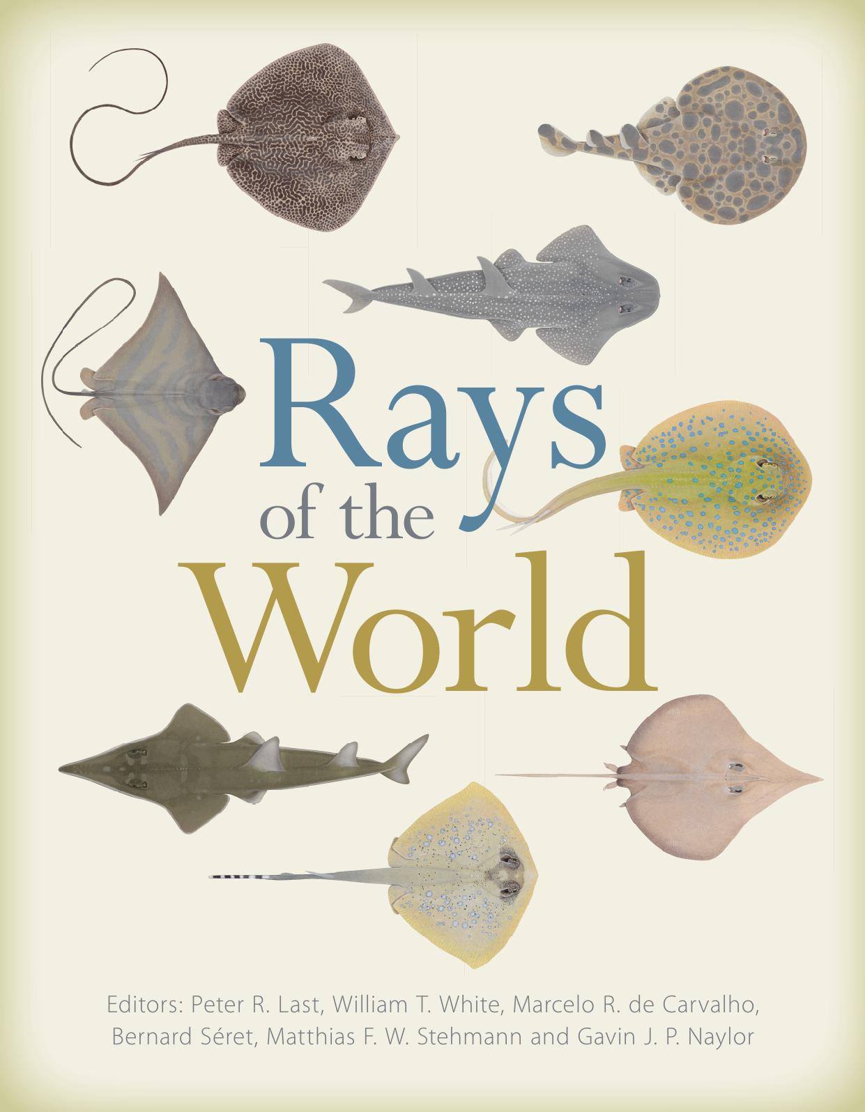 Rays of the World