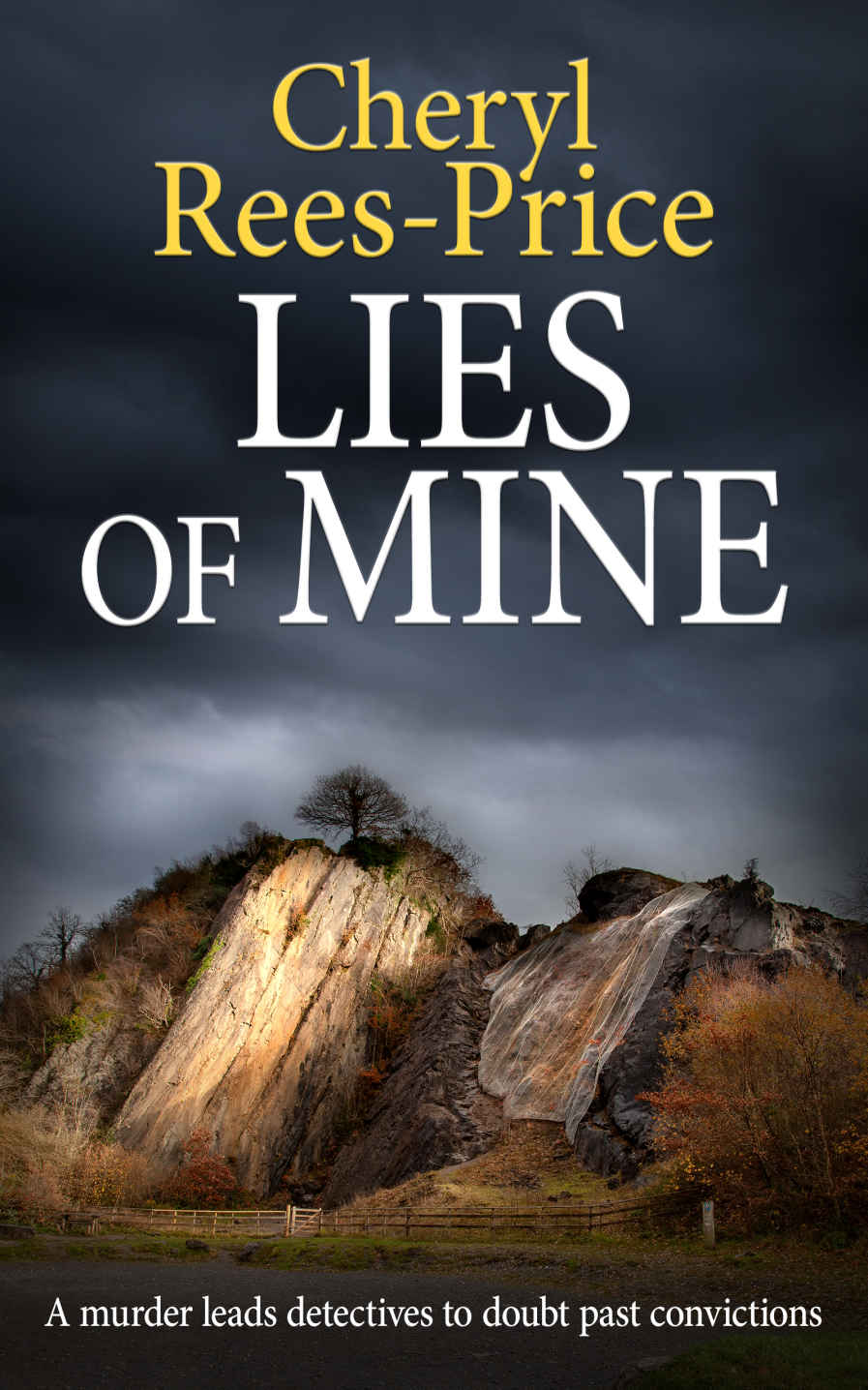 LIES OF MINE: A murder leads detectives to doubt past convictions