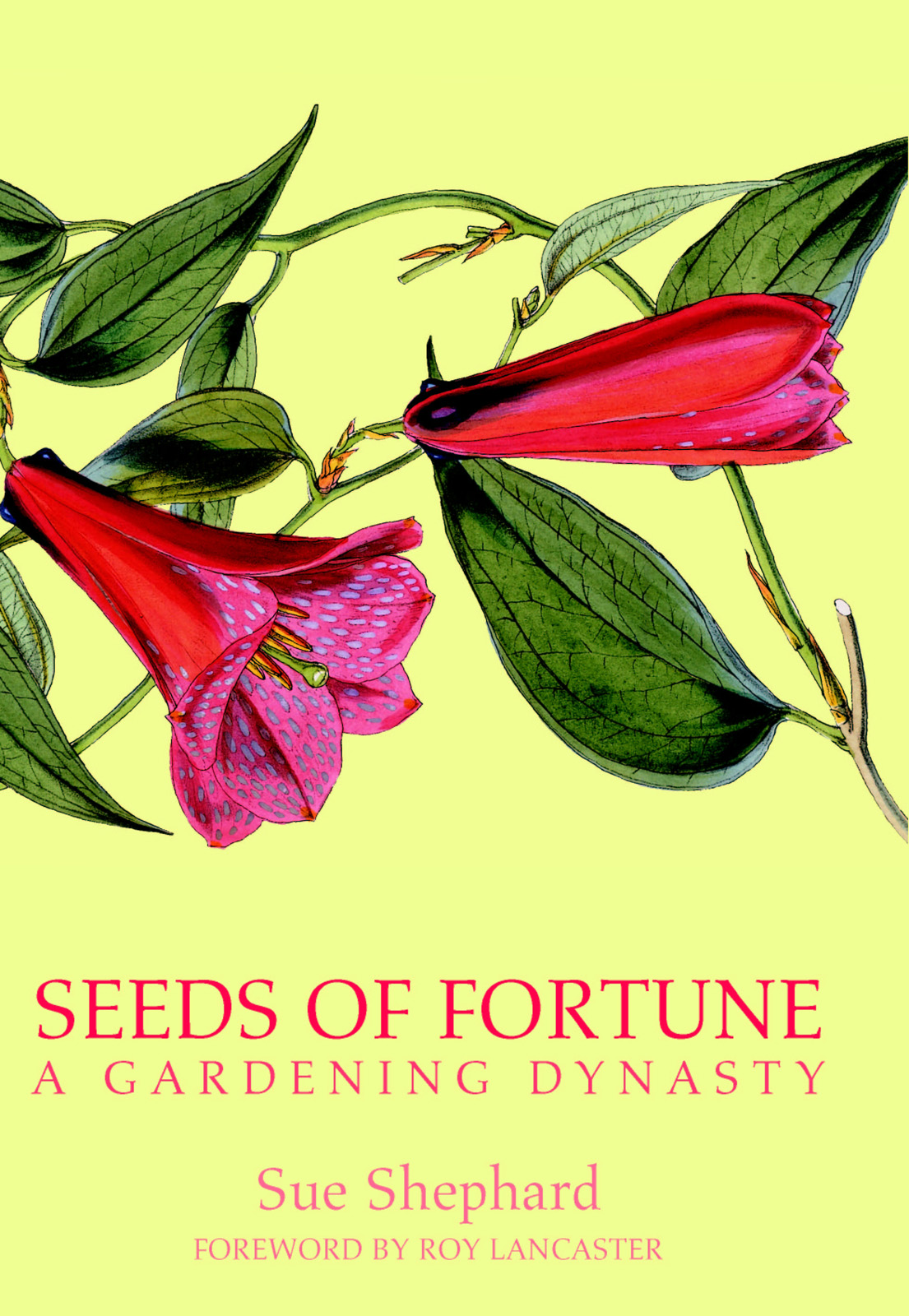 Seeds of Fortune