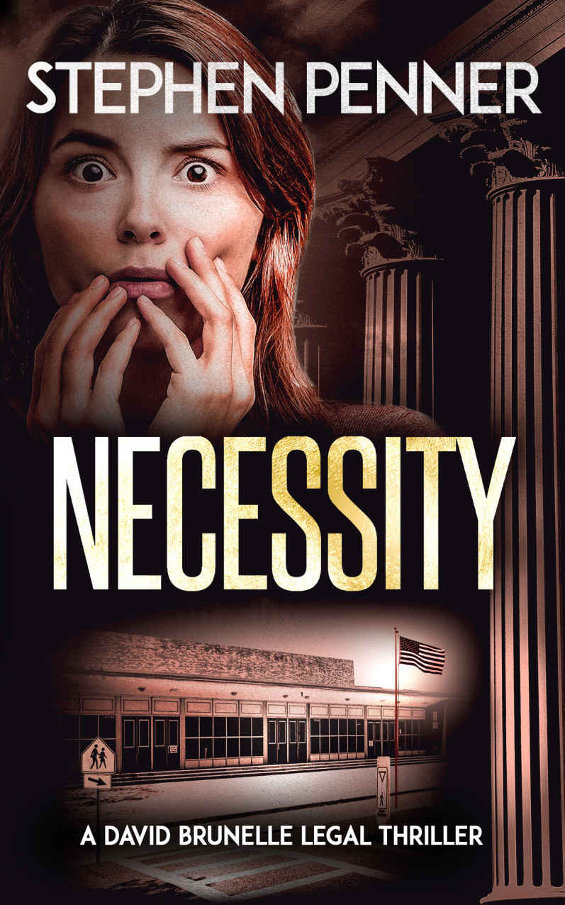 Necessity: (David Brunelle Legal Thriller Series Book 16)