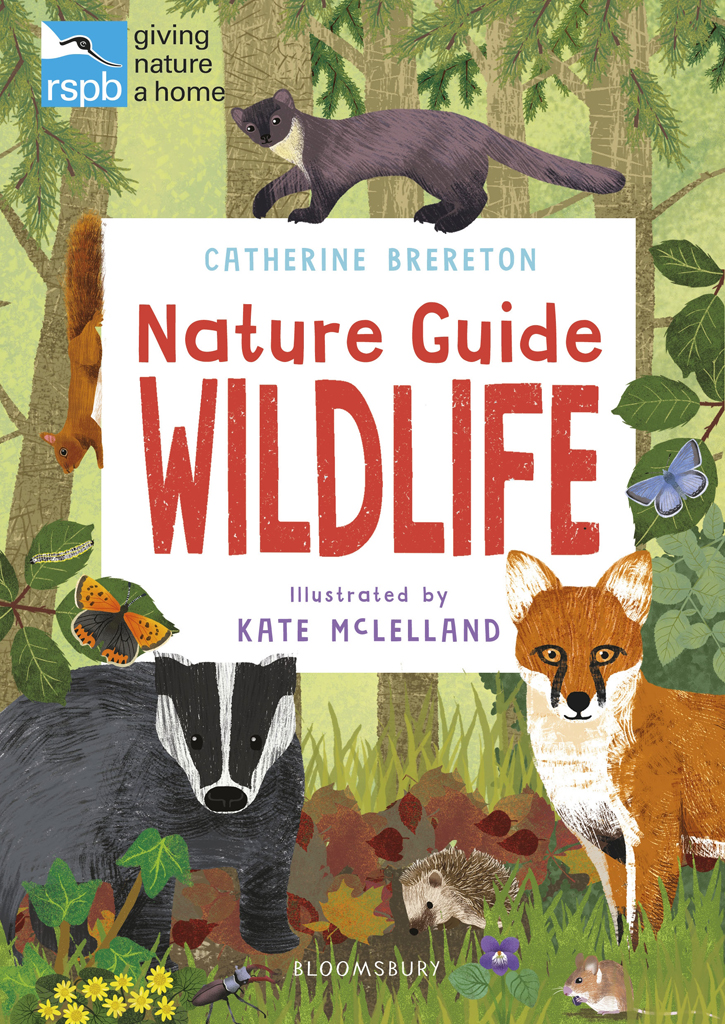 RSPB Nature Guide