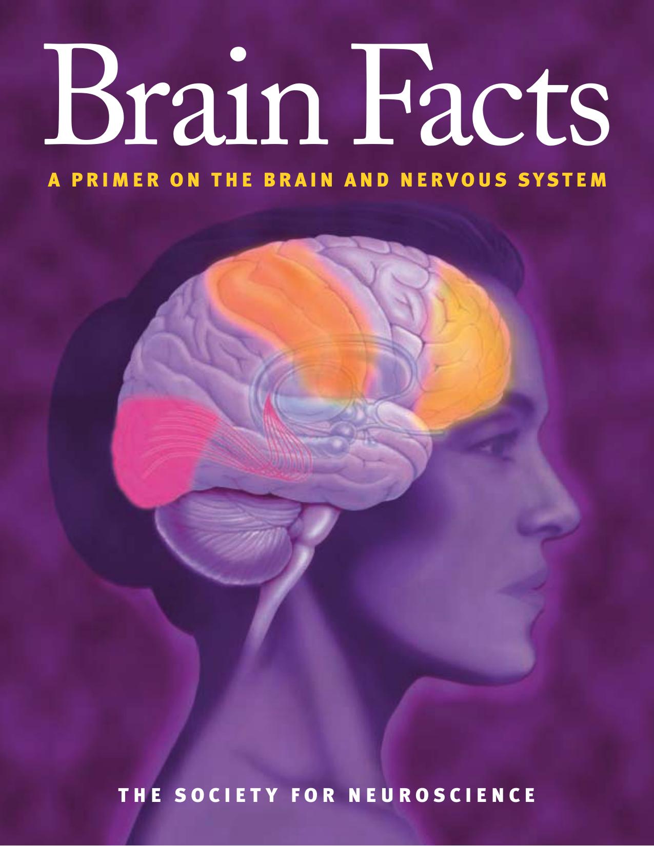 **3539-00 BRAIN FACTS.LYT