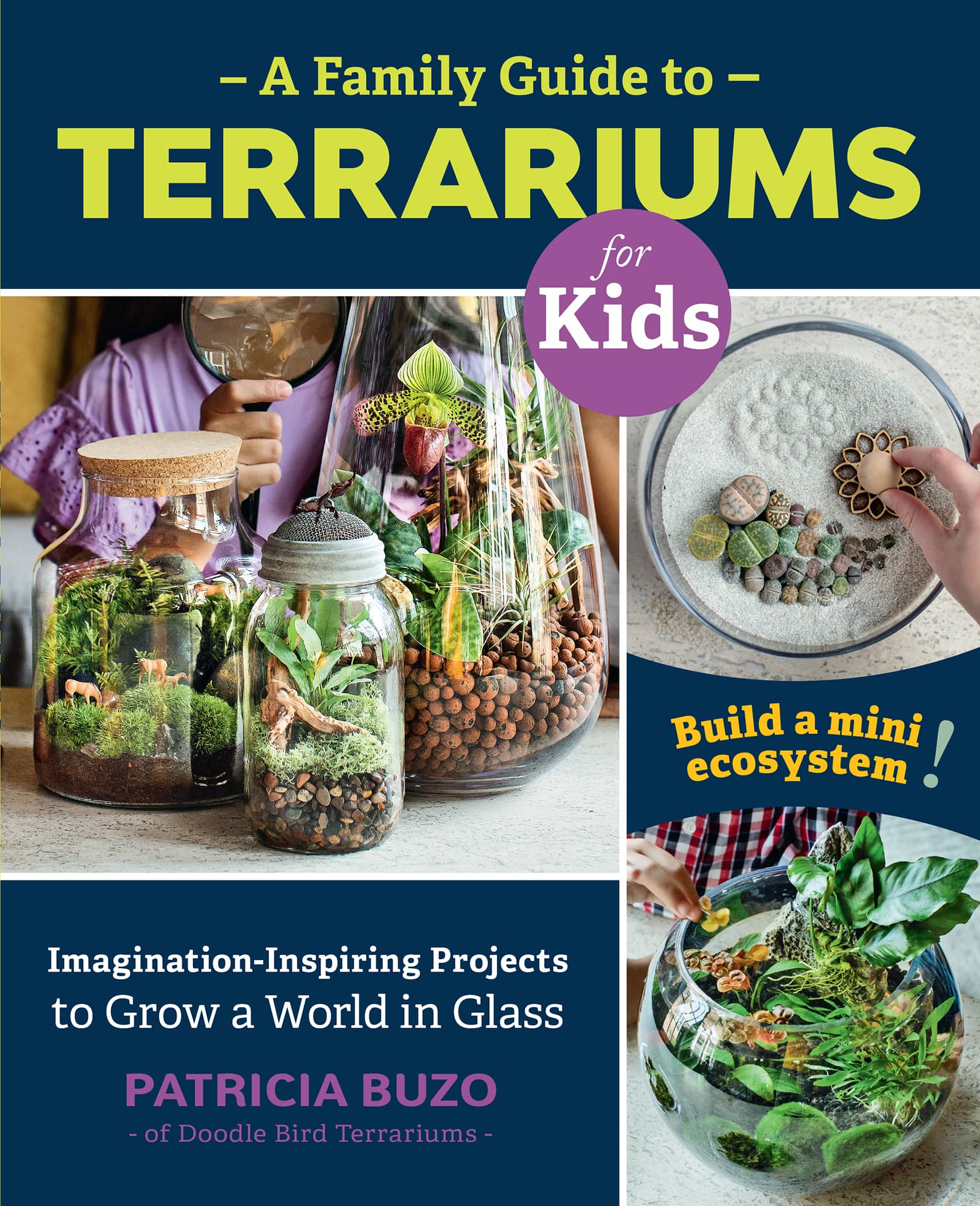 A Family Guide to Terrariums for Kids