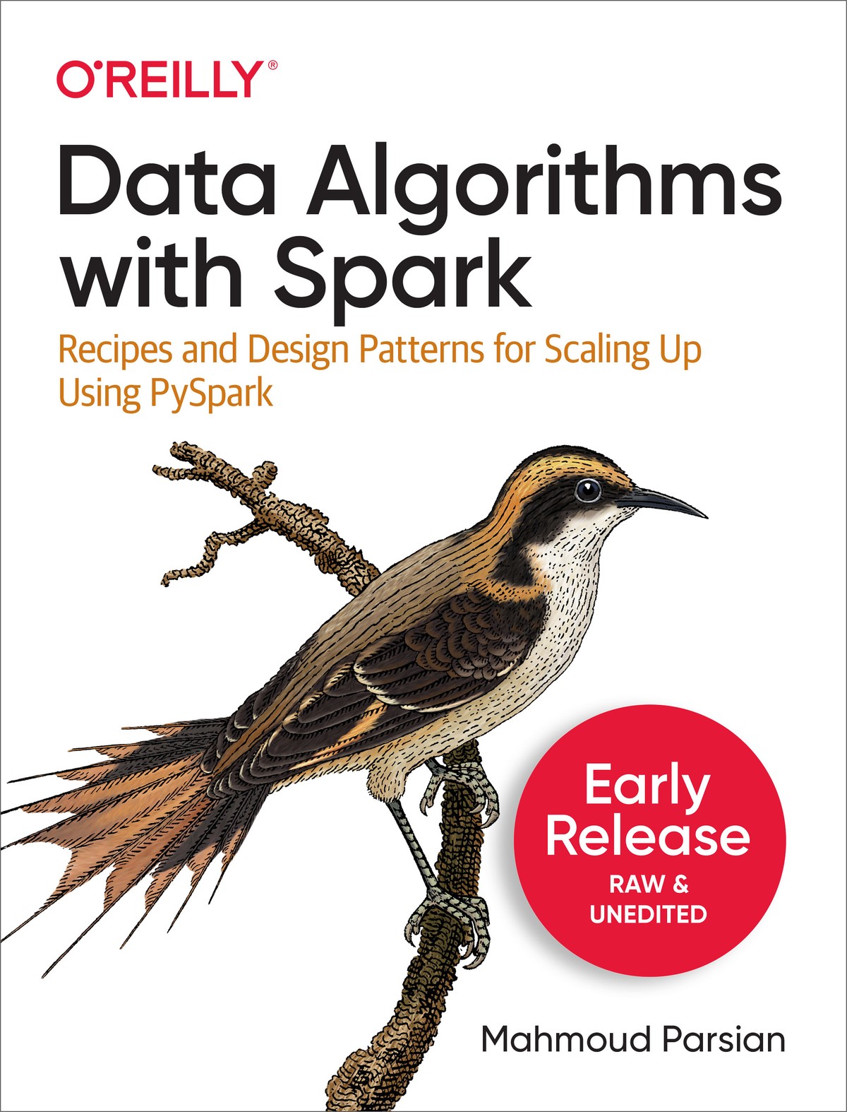 Data Algorithms with Spark