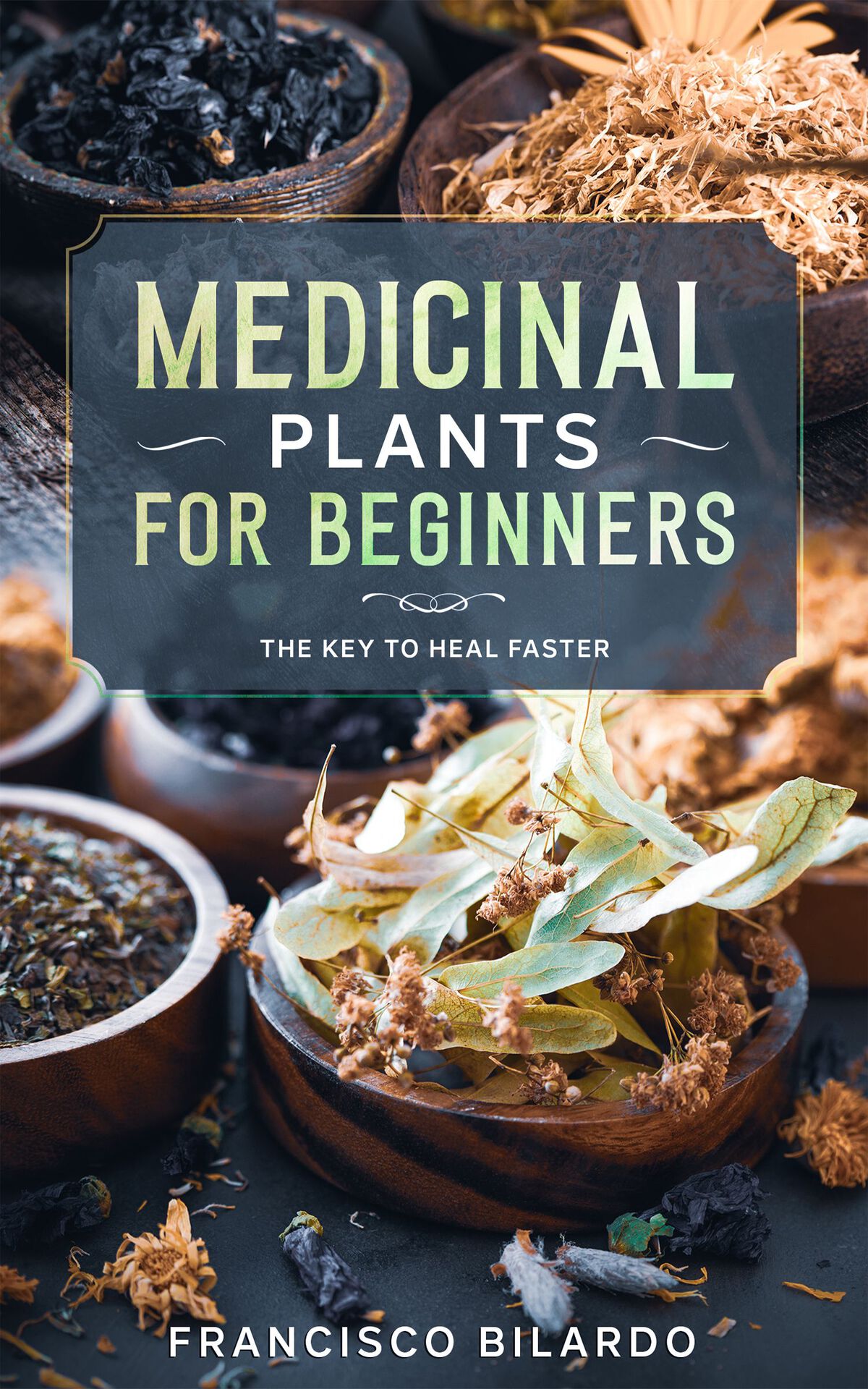 Medicinal plants for beginners: A practical reference guide for more than 200 herbs and remedies for common diseases