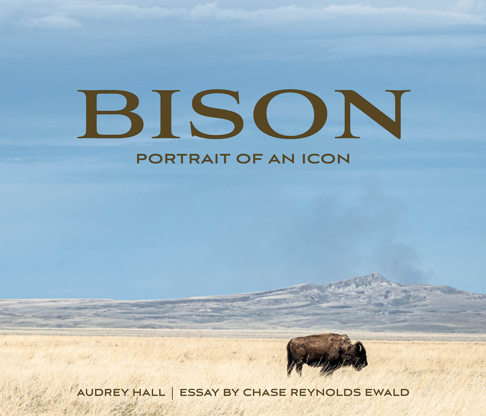 Bison: Portrait of an Icon