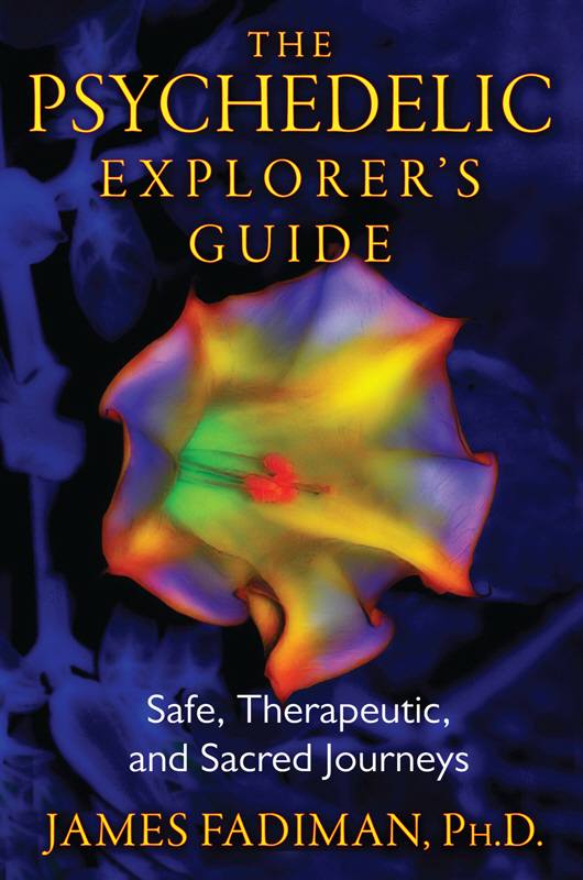 The Psychedelic Explorer's Guide: Safe, Therapeutic, and Sacred Journeys