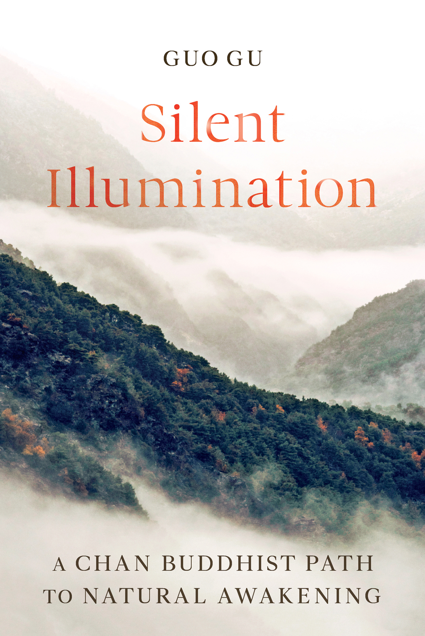 Silent Illumination