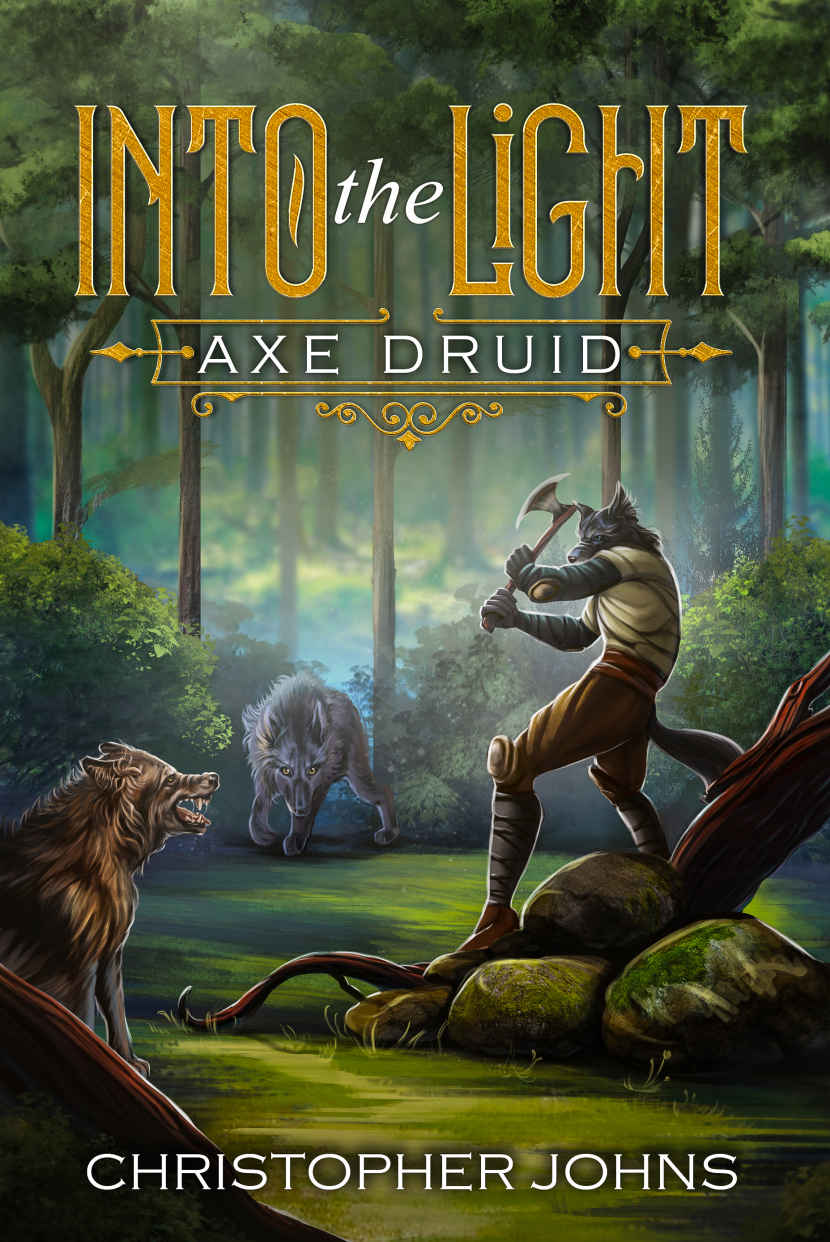 Into the Light (Axe Druid Book 1)